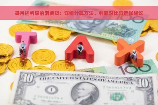 每月还利息的消费贷：详细计算方法、利率对比与选择建议