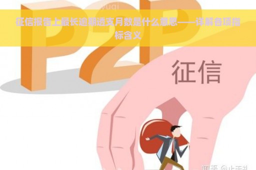 征信报告上最长逾期透支月数是什么意思——详解各项指标含义