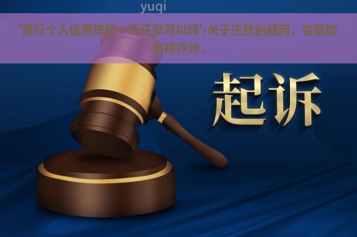 '建行个人信用贷晚一天还款可以吗':关于还款的疑问，会影响信用评分。