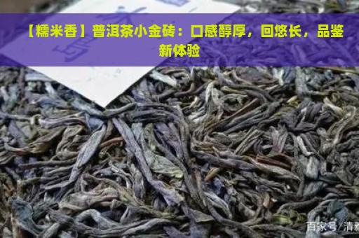 【糯米香】普洱茶小金砖：口感醇厚，回悠长，品鉴新体验