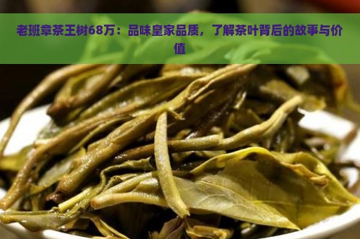 老班章茶王树68万：品味皇家品质，了解茶叶背后的故事与价值