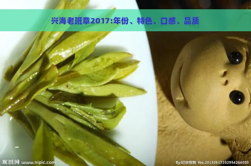 兴海老班章2017:年份、特色、口感、品质