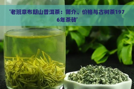 '老班章布朗山普洱茶：简介、价格与古树茶1976年茶砖'