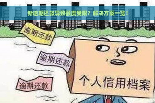 新逾期还款导致额度受限？解决方案一览！