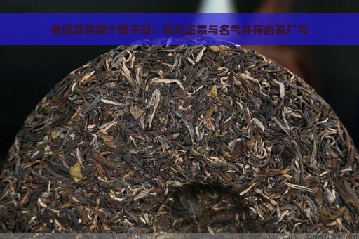 老班章茶哪个牌子好：探究正宗与名气并存的茶厂与