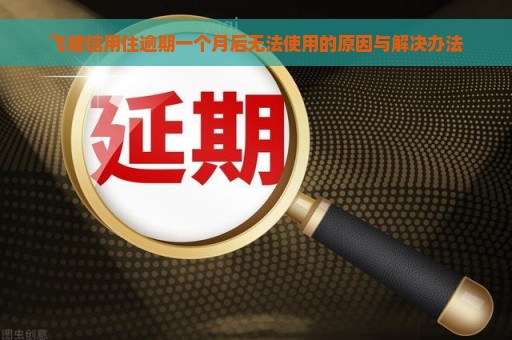 飞猪信用住逾期一个月后无法使用的原因与解决办法