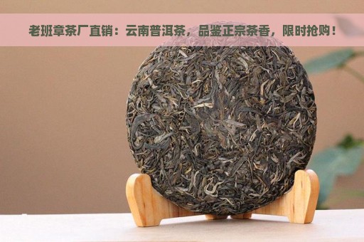 老班章茶厂直销：云南普洱茶，品鉴正宗茶香，限时抢购！