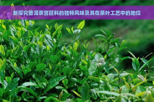 新探究普洱茶宫廷料的独特风味及其在茶叶工艺中的地位