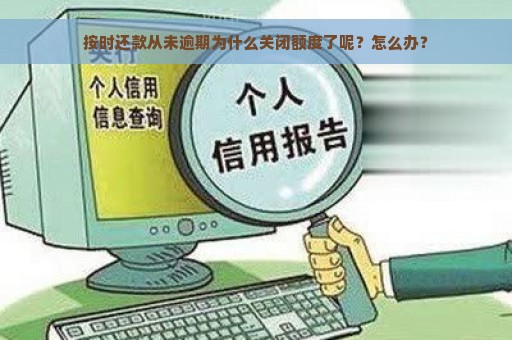 按时还款从未逾期为什么关闭额度了呢？怎么办？