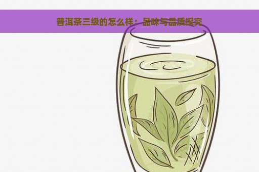 普洱茶三级的怎么样：品味与品质探究