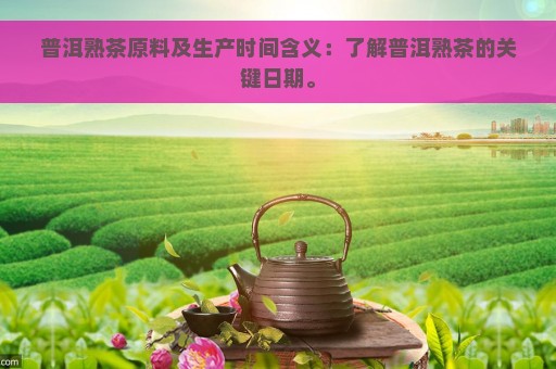 普洱熟茶原料及生产时间含义：了解普洱熟茶的关键日期。