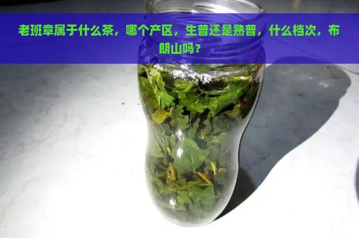 老班章属于什么茶，哪个产区，生普还是熟普，什么档次，布朗山吗？