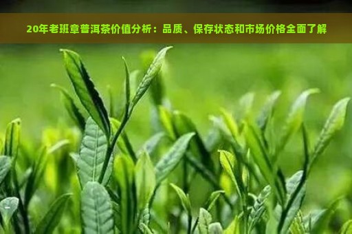 20年老班章普洱茶价值分析：品质、保存状态和市场价格全面了解