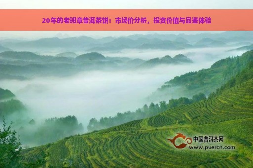 20年的老班章普洱茶饼：市场价分析，投资价值与品鉴体验