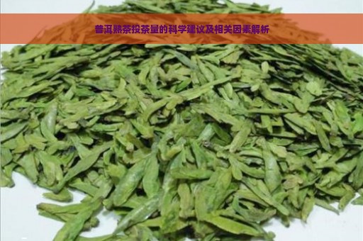 普洱熟茶投茶量的科学建议及相关因素解析