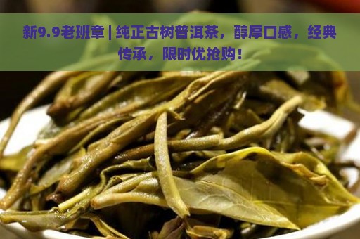 新9.9老班章 | 纯正古树普洱茶，醇厚口感，经典传承，限时优抢购！