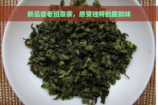 新品尝老班章茶，感受独特的腥韵味