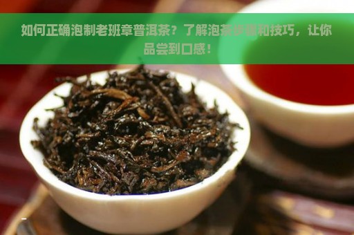 如何正确泡制老班章普洱茶？了解泡茶步骤和技巧，让你品尝到口感！