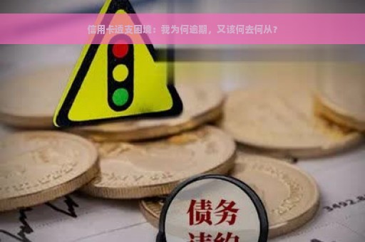 信用卡透支困境：我为何逾期，又该何去何从？