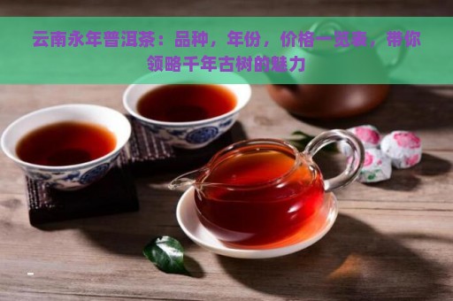 云南永年普洱茶：品种，年份，价格一览表，带你领略千年古树的魅力