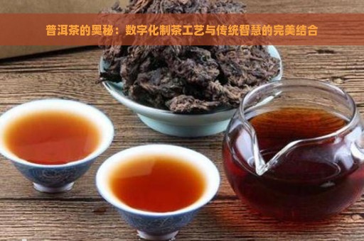 普洱茶的奥秘：数字化制茶工艺与传统智慧的完美结合