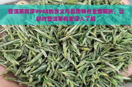 普洱茶数字9948的含义与品质特点全面解析，让你对普洱茶有更深入了解