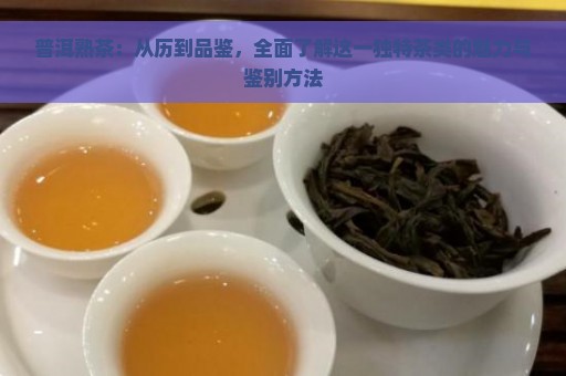 普洱熟茶：从历到品鉴，全面了解这一独特茶类的魅力与鉴别方法