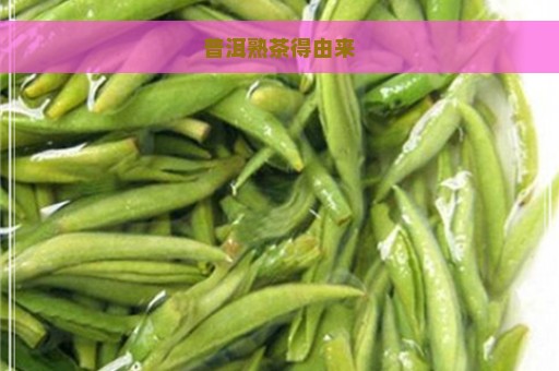 普洱熟茶得由来