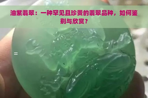 油紫翡翠：一种罕见且珍贵的翡翠品种，如何鉴别与欣赏？