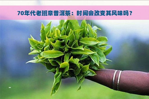 70年代老班章普洱茶：时间会改变其风味吗？