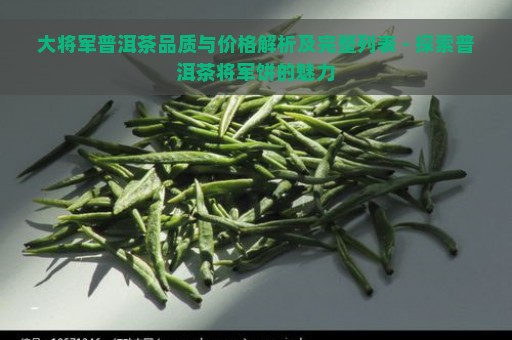 大将军普洱茶品质与价格解析及完整列表 - 探索普洱茶将军饼的魅力