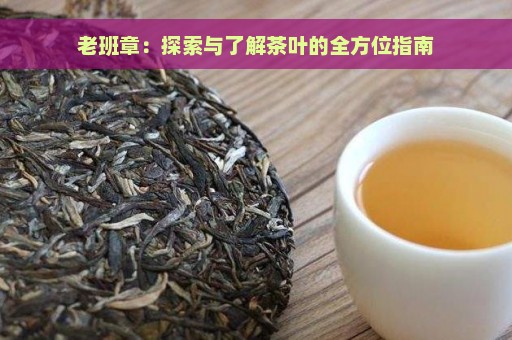 老班章：探索与了解茶叶的全方位指南