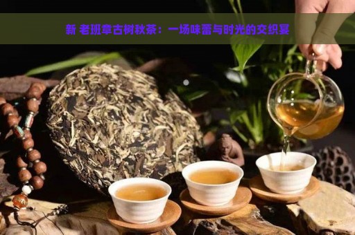 新 老班章古树秋茶：一场味蕾与时光的交织宴