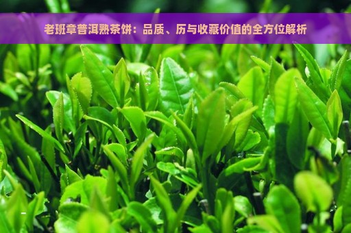 老班章普洱熟茶饼：品质、历与收藏价值的全方位解析