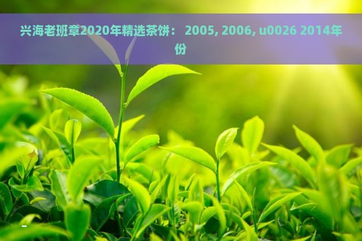 兴海老班章2020年精选茶饼： 2005, 2006, u0026 2014年份