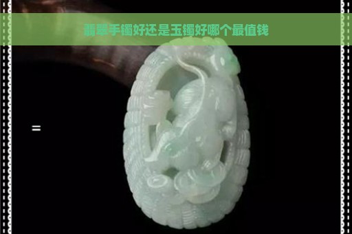 翡翠手镯好还是玉镯好哪个最值钱