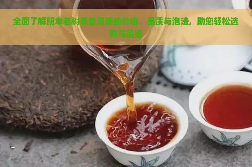 全面了解班章老树茶普洱茶的价格、品质与泡法，助您轻松选购与品鉴