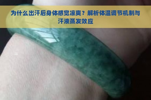 为什么出汗后身体感觉凉爽？解析体温调节机制与汗液蒸发效应