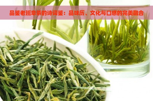 品鉴老班章茶的诗词鉴：品味历、文化与口感的完美融合