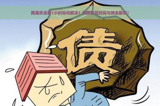 网商贷逾期1小时如何解决？额度恢复时间与措全解析！