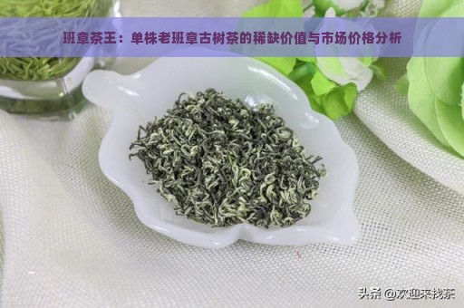 班章茶王：单株老班章古树茶的稀缺价值与市场价格分析