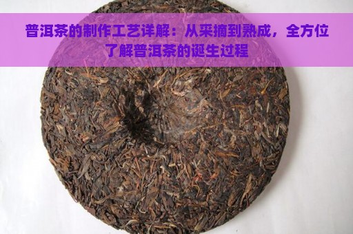 普洱茶的制作工艺详解：从采摘到熟成，全方位了解普洱茶的诞生过程