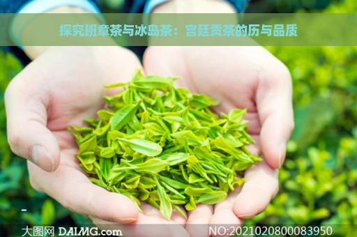 探究班章茶与冰岛茶：宫廷贡茶的历与品质