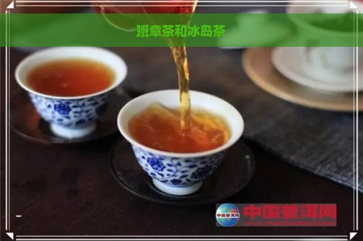 班章茶和冰岛茶