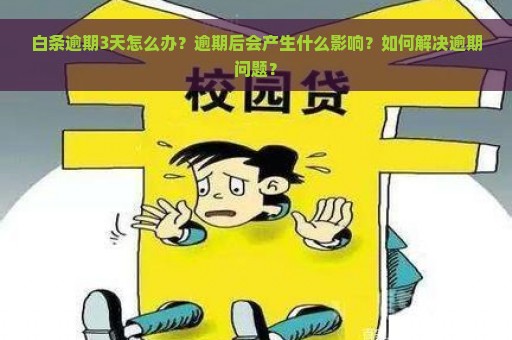 白条逾期3天怎么办？逾期后会产生什么影响？如何解决逾期问题？