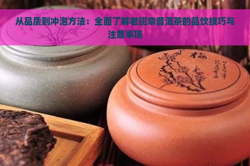 从品质到冲泡方法：全面了解老班章普洱茶的品饮技巧与注意事项