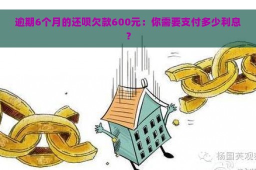 逾期6个月的还呗欠款600元：你需要支付多少利息？