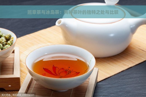 班章茶与冰岛茶：两种茶叶的独特之处与比较