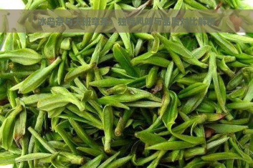 冰岛茶与大班章茶：独特风味与品质对比解析