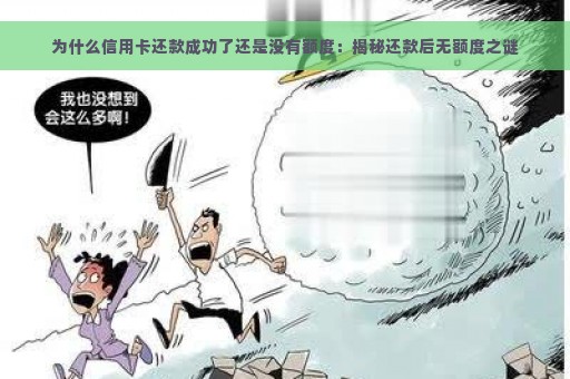 为什么信用卡还款成功了还是没有额度：揭秘还款后无额度之谜